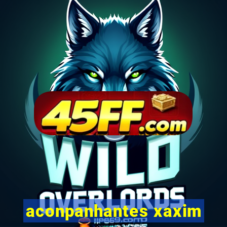 aconpanhantes xaxim